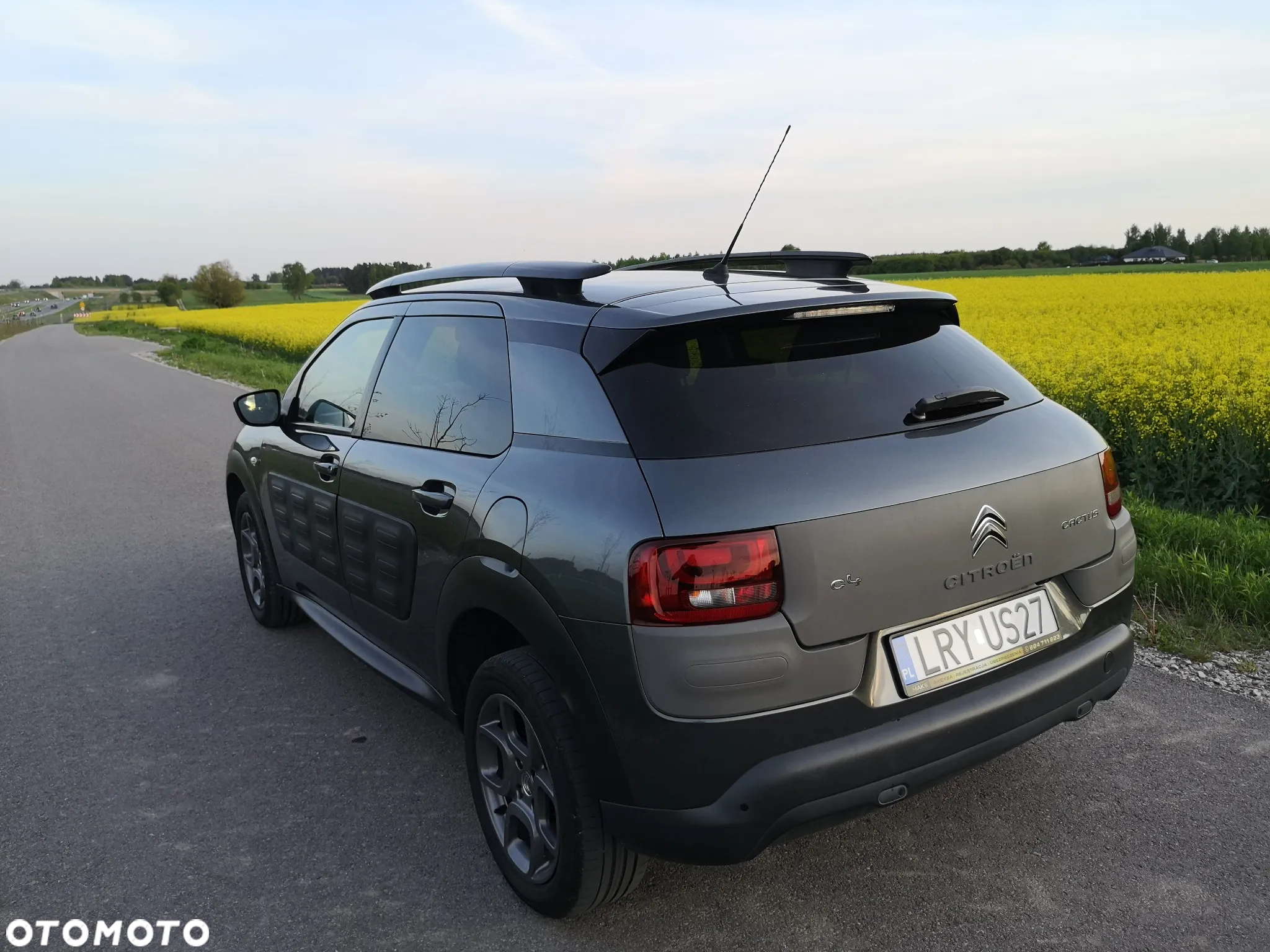 Citroën C4 Cactus 1.2 PureTech Shine Edition S&S ETG - 22