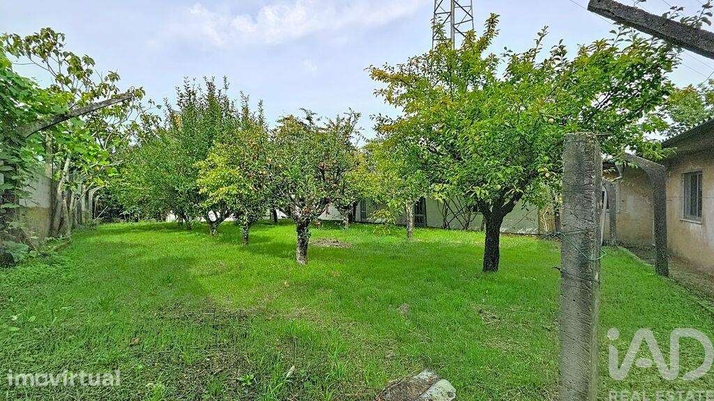 Moradia isolada T3 em Vila de Cucujães de 114 m2 - Grande imagem: 5/26