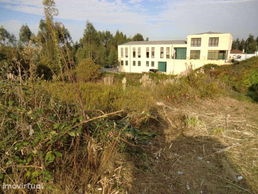 Terreno,Macieira Sarnes,Oliveira Azemeis - Grande imagem: 3/3