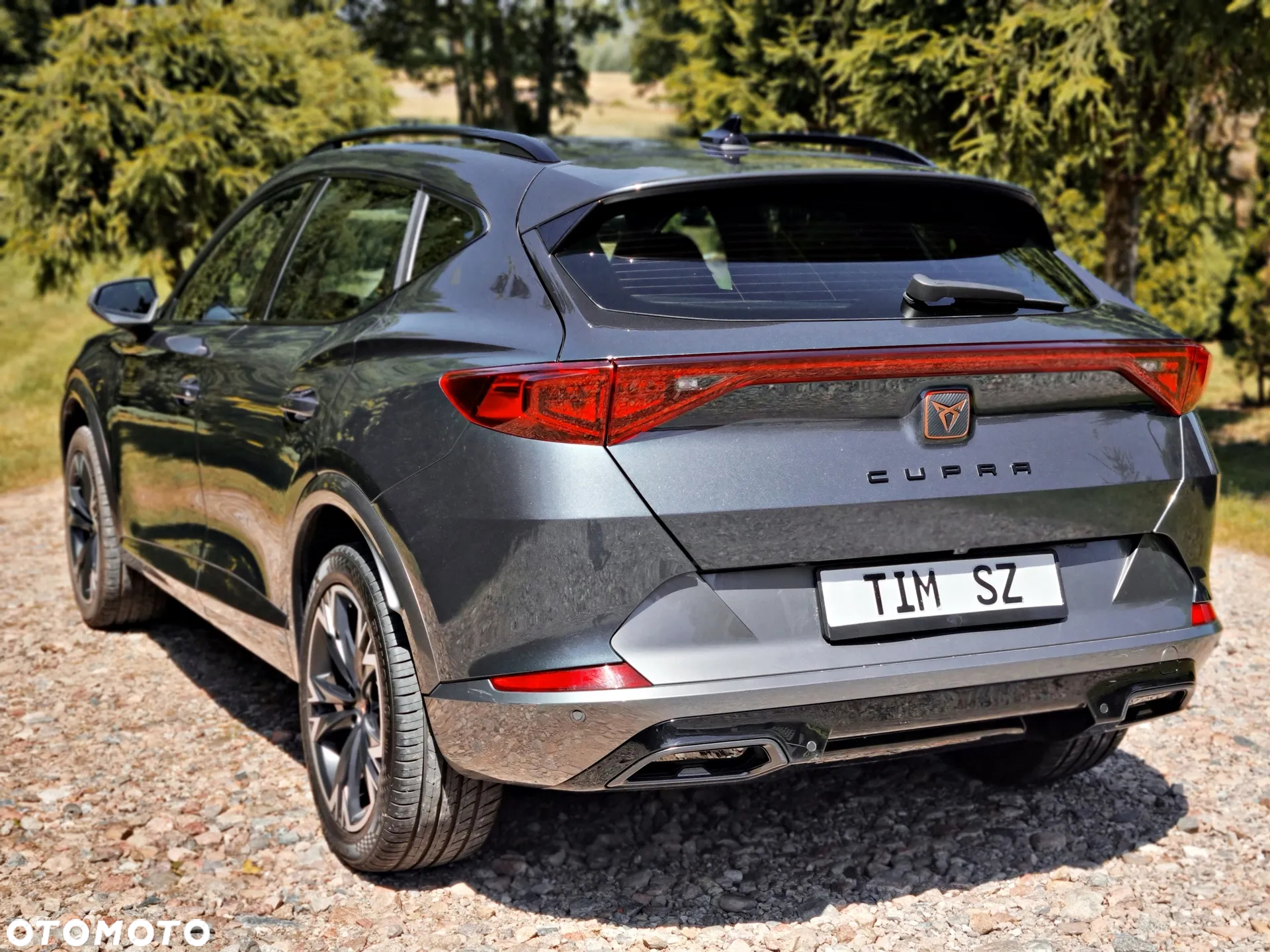 Cupra Formentor 2.0 TDI - 13