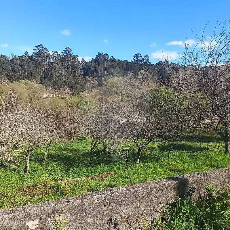 Terreno  para venda - Grande imagem: 4/14