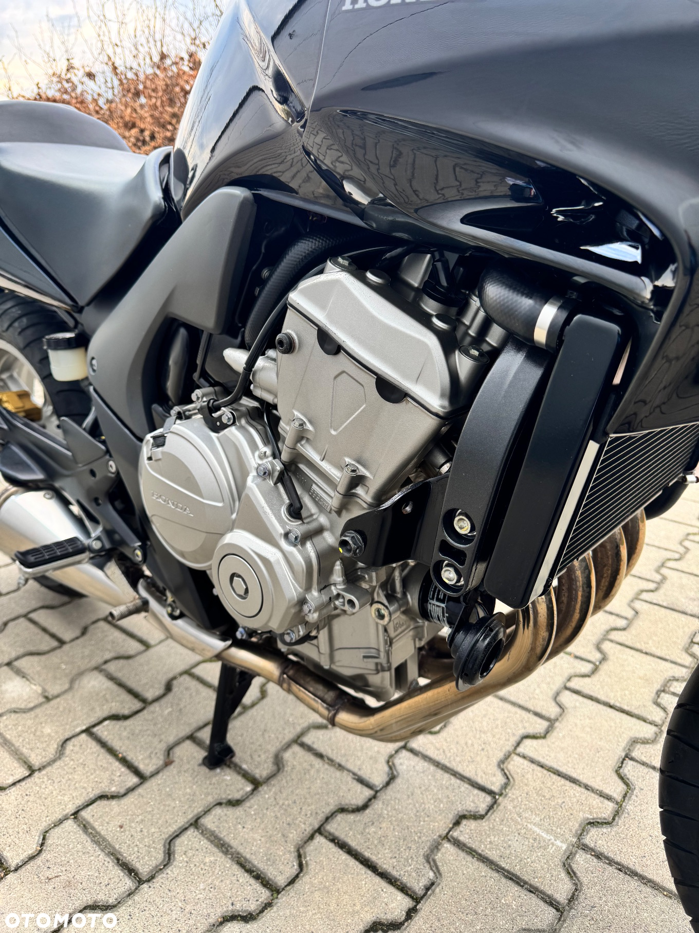 Honda CBF - 7