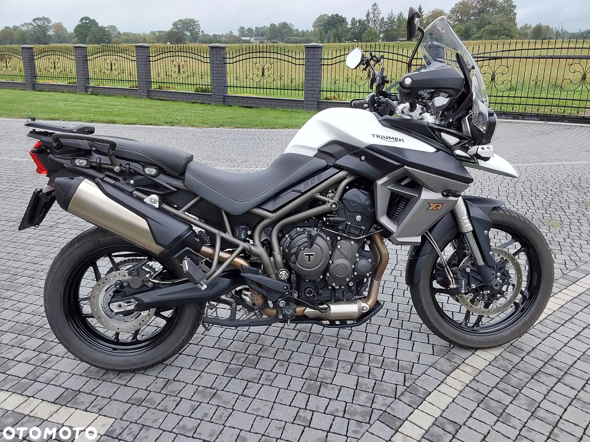 Triumph Tiger - 10