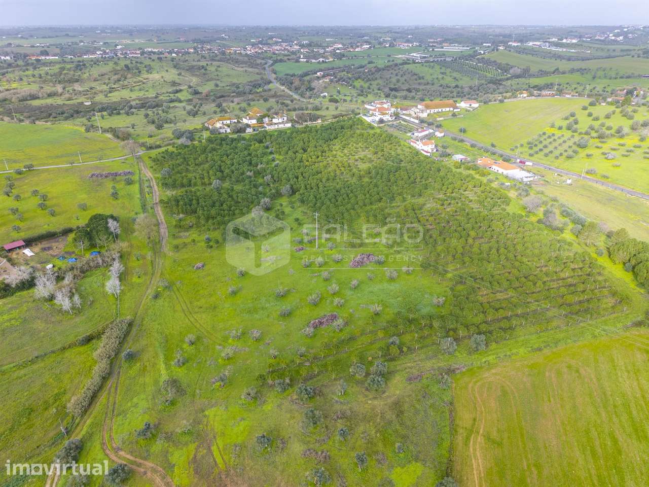Terreno Rústico  Venda em Romeira e Várzea,Santarém - Grande imagem: 2/17