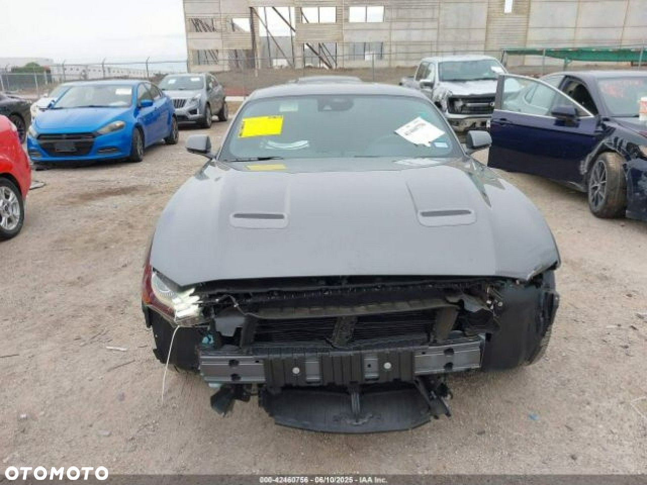 Ford Mustang - 6