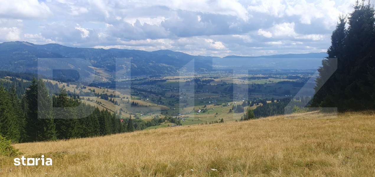 Teren extravilan de vanazre, 42.152 mp, zona Saru Dornei - Imagine principală: 5/9