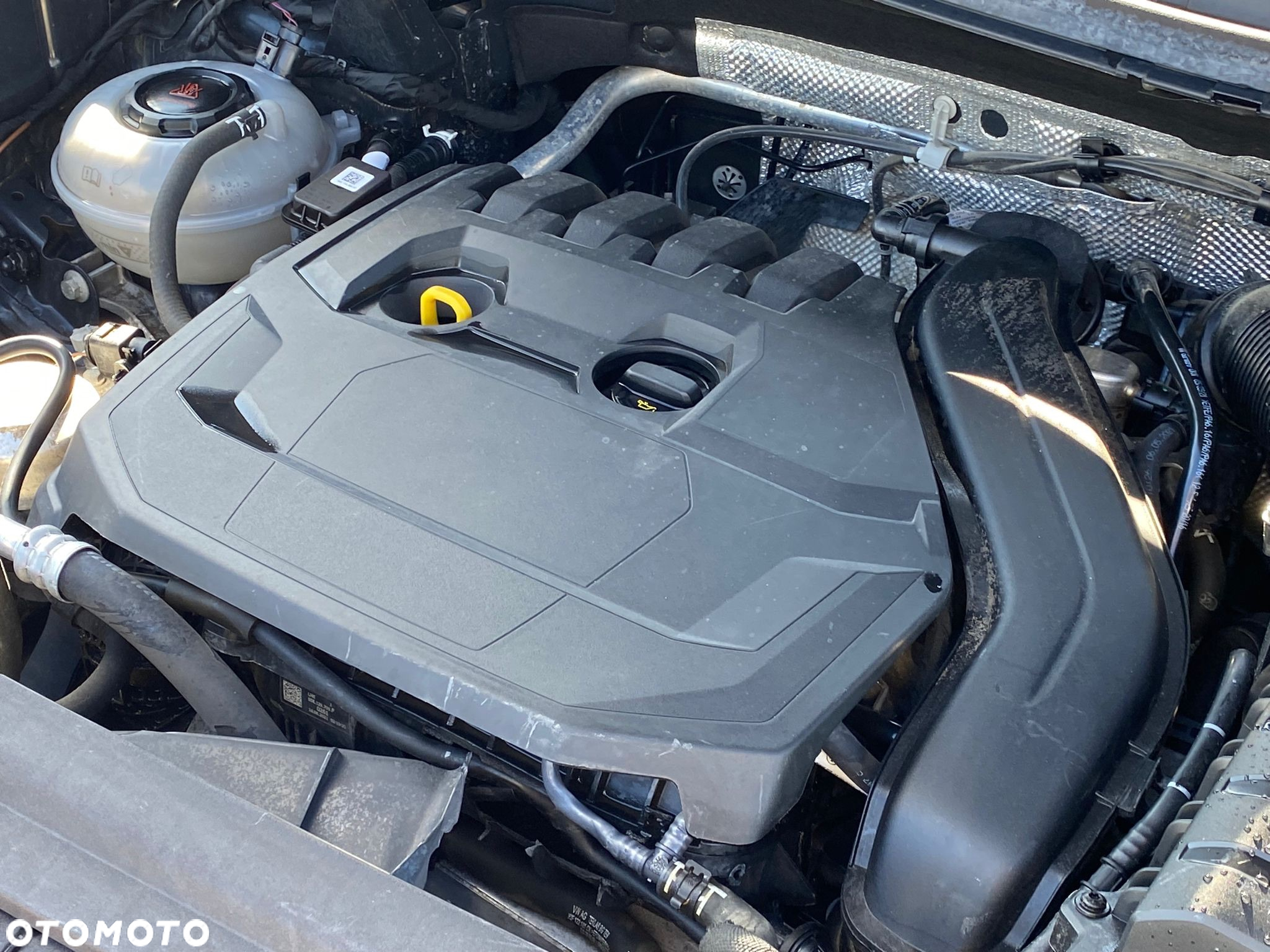 Volkswagen Tiguan 1.5 TSI EVO Elegance DSG - 7