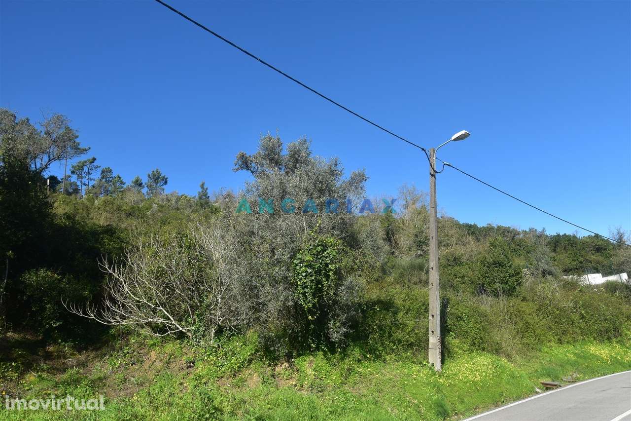 ANG1375 - Terreno para Venda em Coimbra - Grande imagem: 4/13