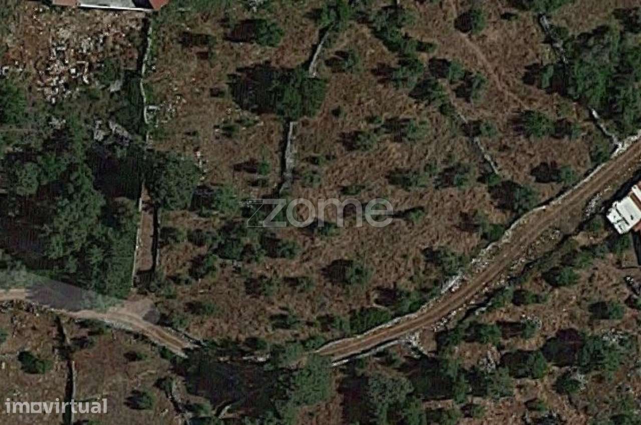 Terrenos Murados ( Cerrados ) em Mira de Aire - Grande imagem: 2/23