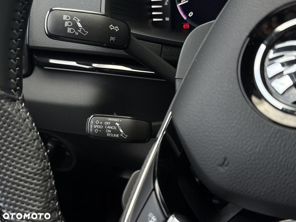 Skoda Karoq 2.0 TSI 4x4 Sportline DSG - 20
