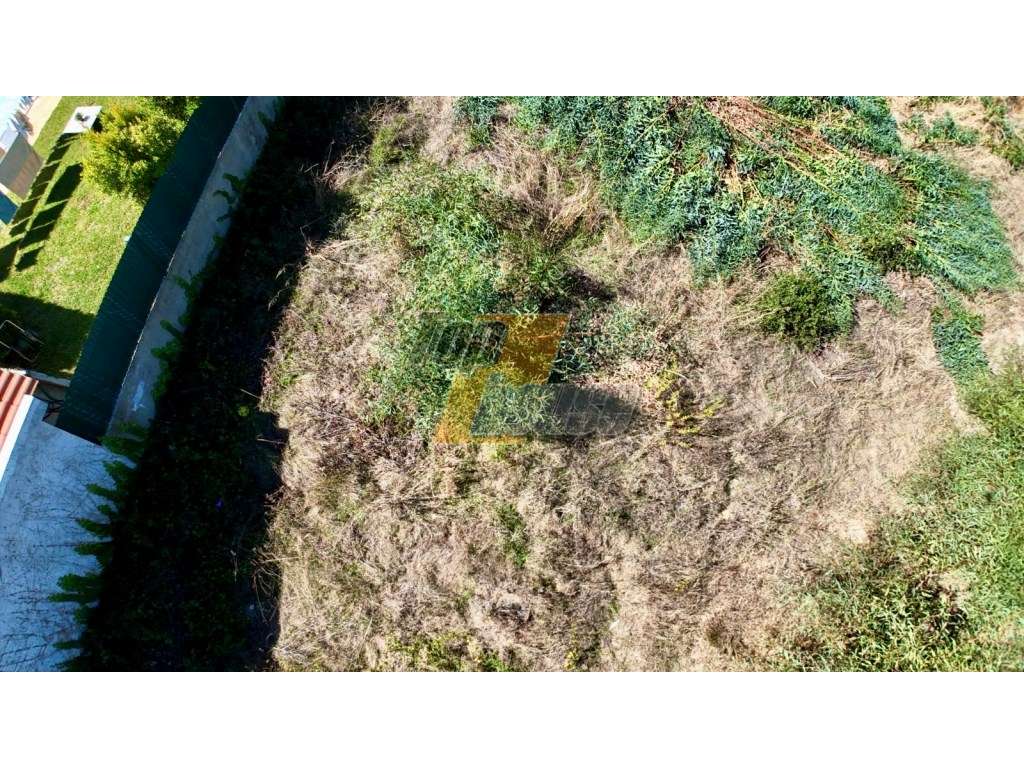 Oportunidade Única na Marisol: Terreno Urbano com 1.000 m² - Grande imagem: 4/8