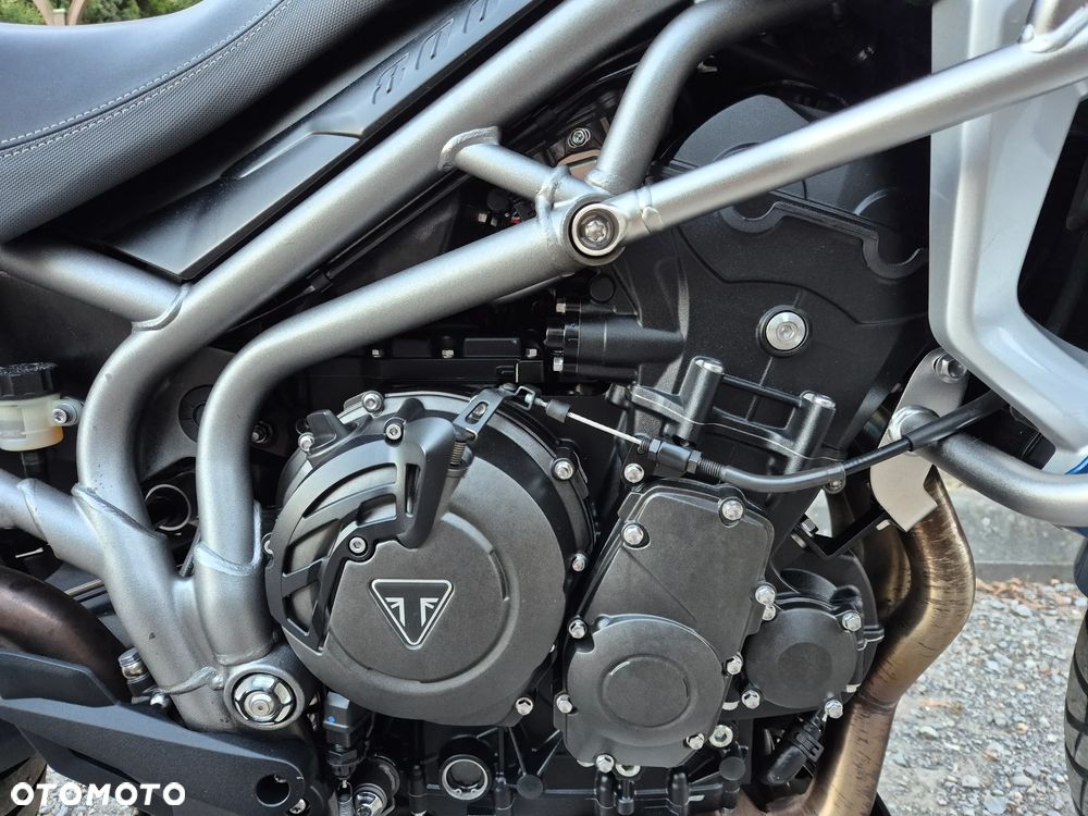 Triumph Tiger - 21