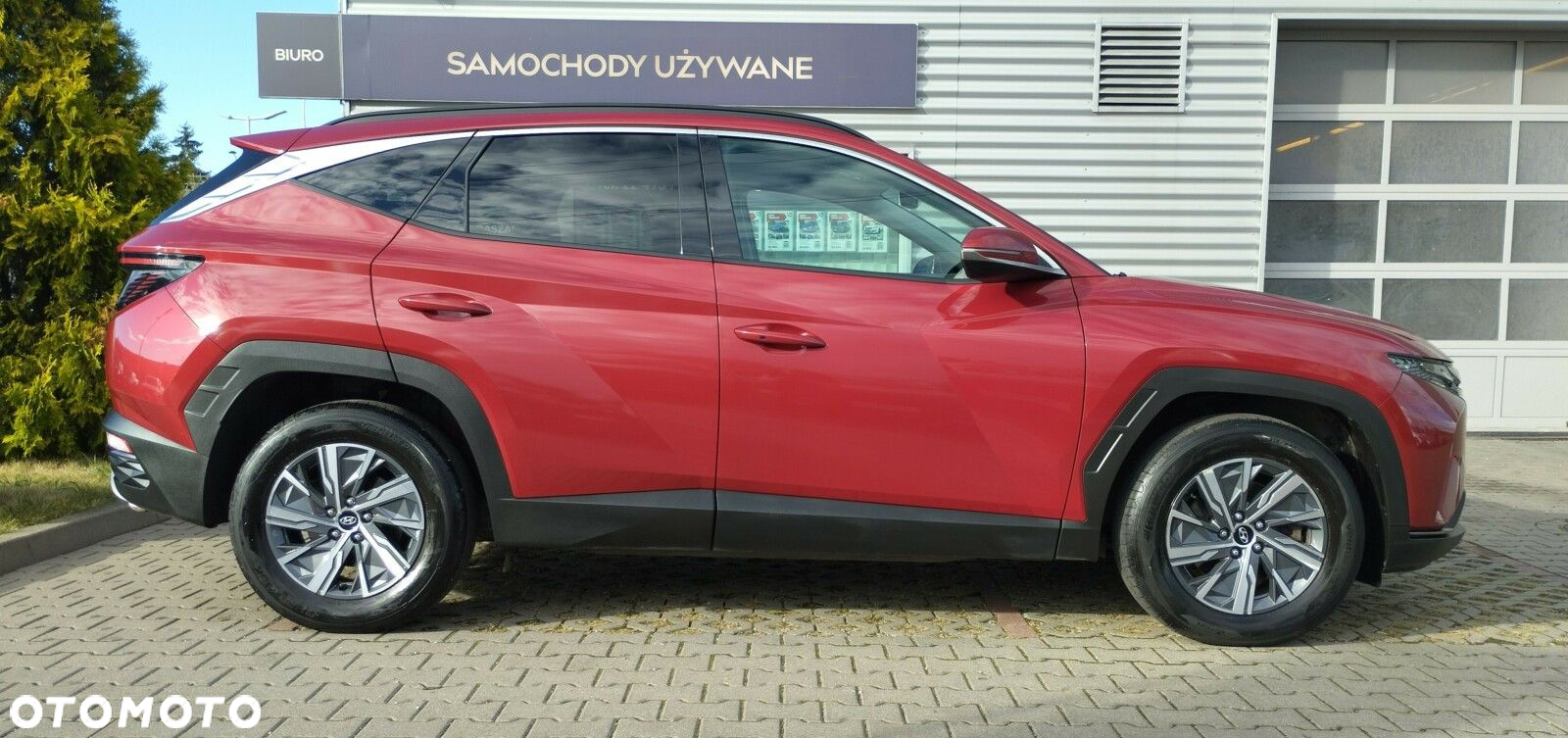 Hyundai Tucson 1.6 T-GDi HEV Executive 2WD - 8