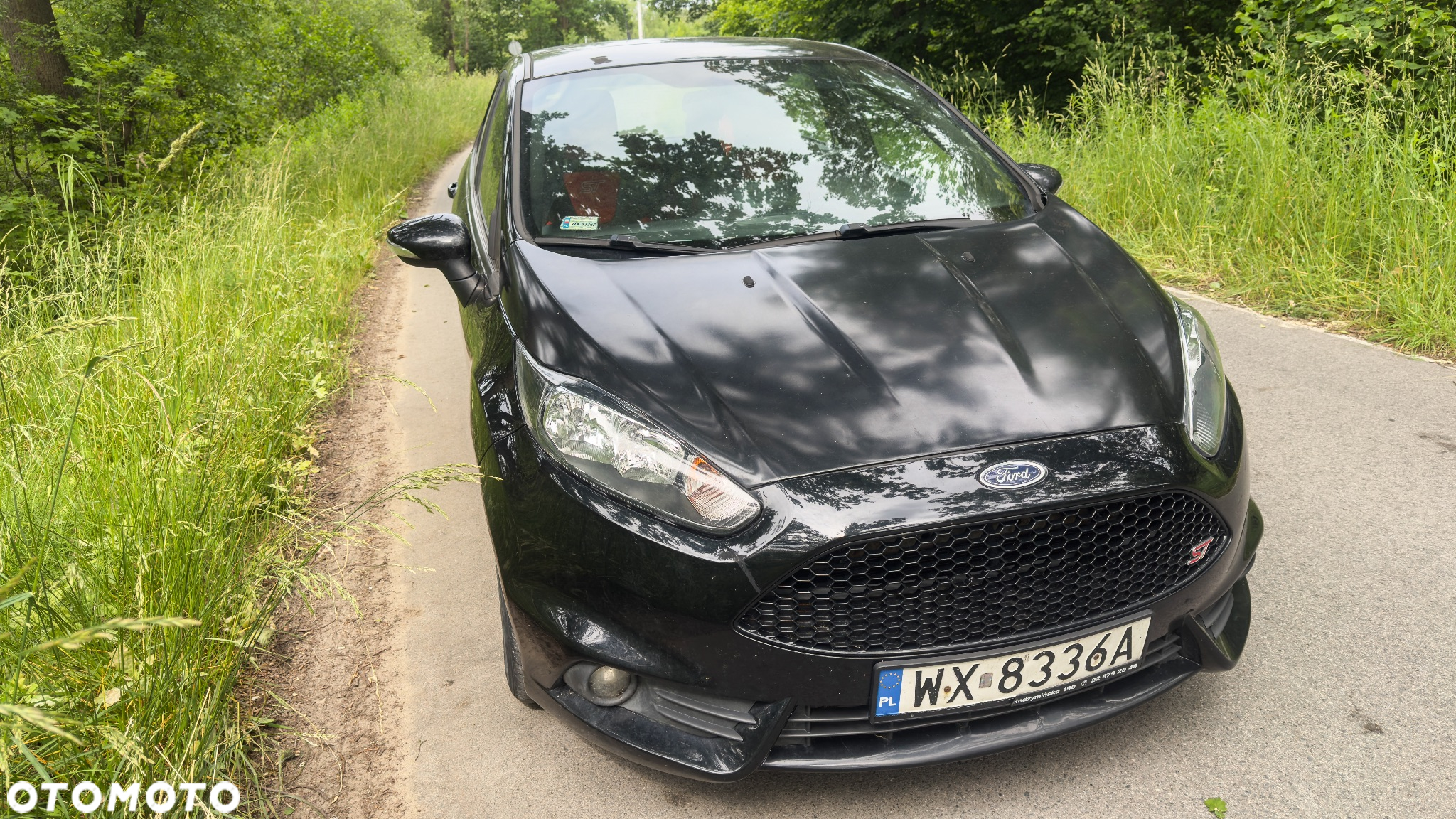 Ford Fiesta 1.6 EcoBoost ST - 10