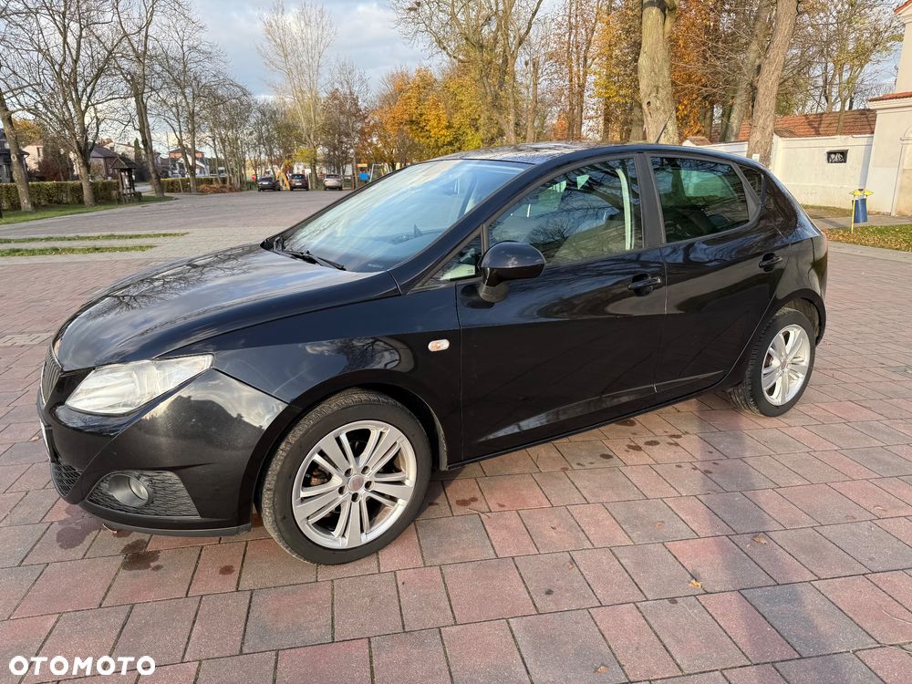 Seat Ibiza - 30