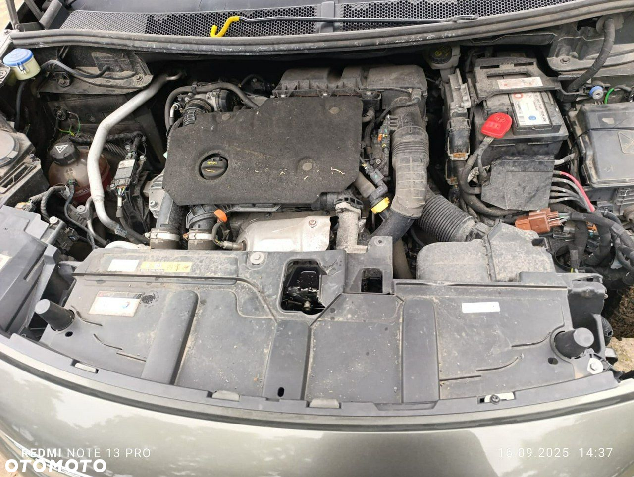 Peugeot 5008 - 25
