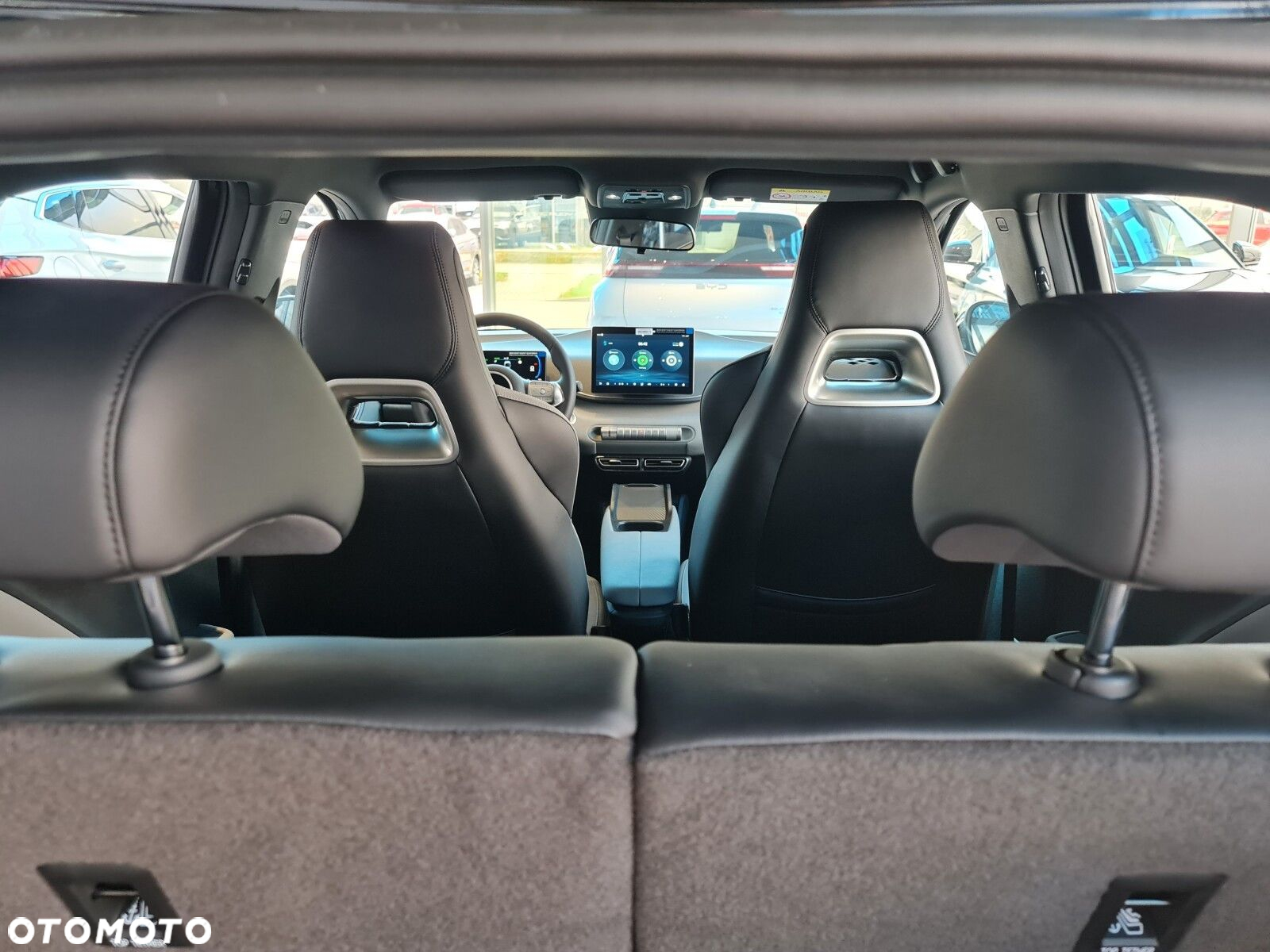 BYD Dolphin Surf - 24
