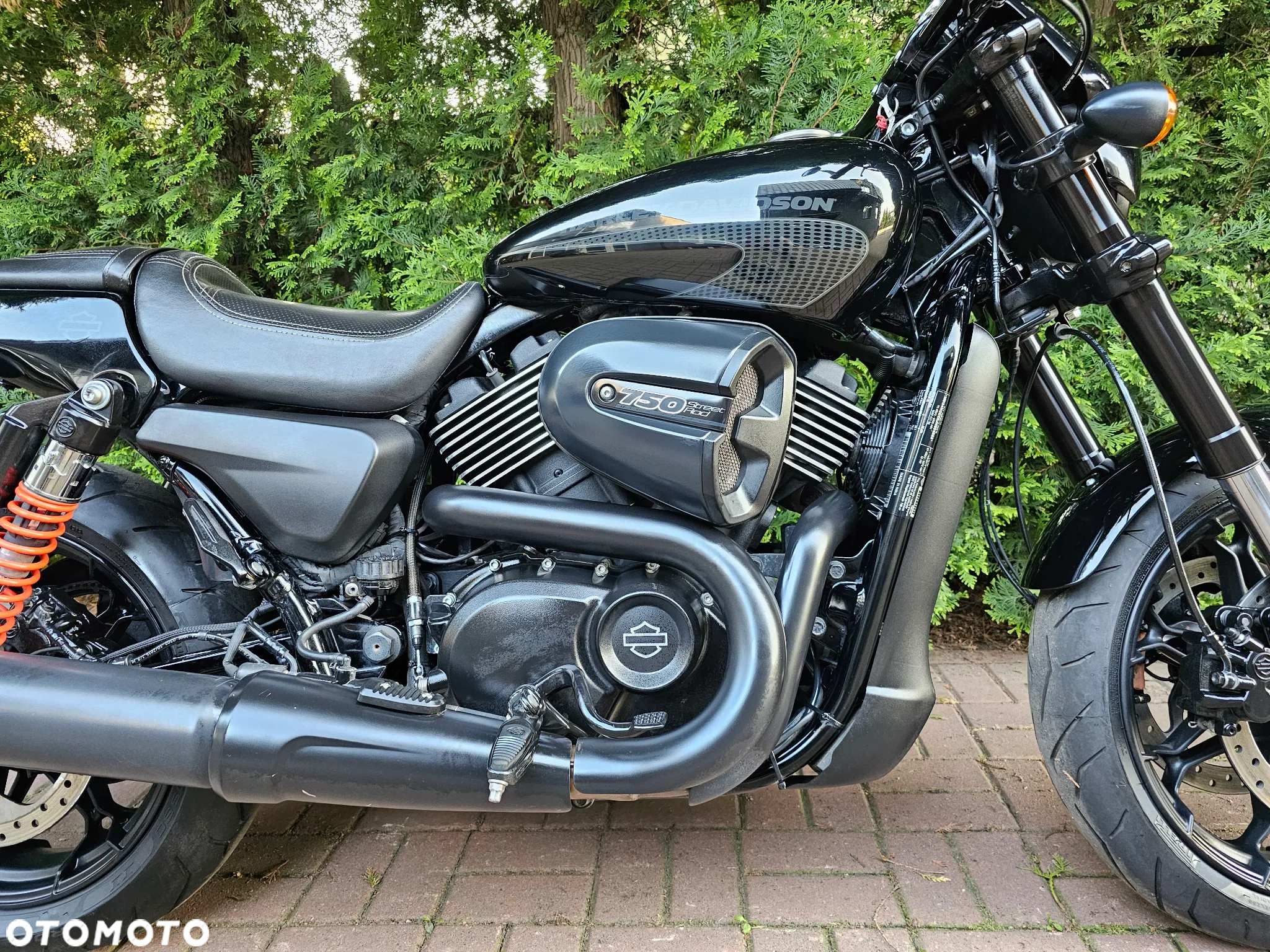 Harley-Davidson Street Rod XG 750A - 7