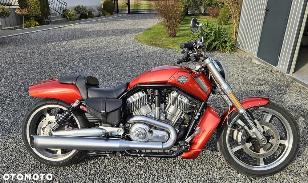 Harley-Davidson V-Rod Muscle - 7