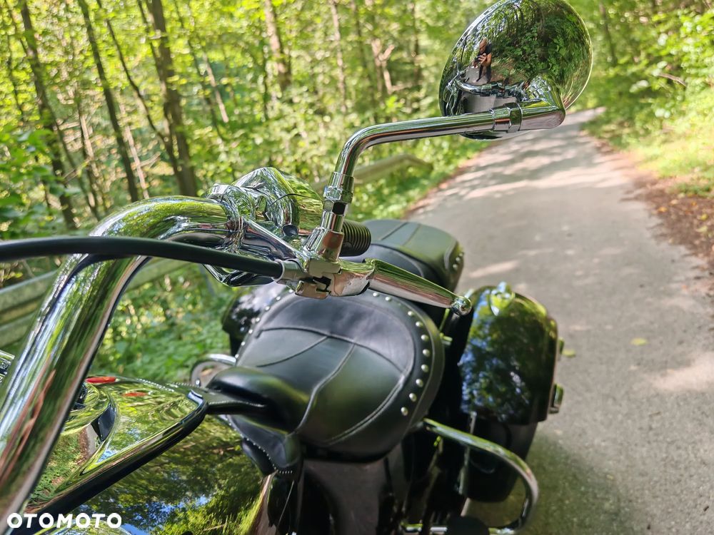 Indian Springfield - 33