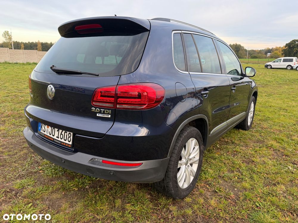 Volkswagen Tiguan - 10