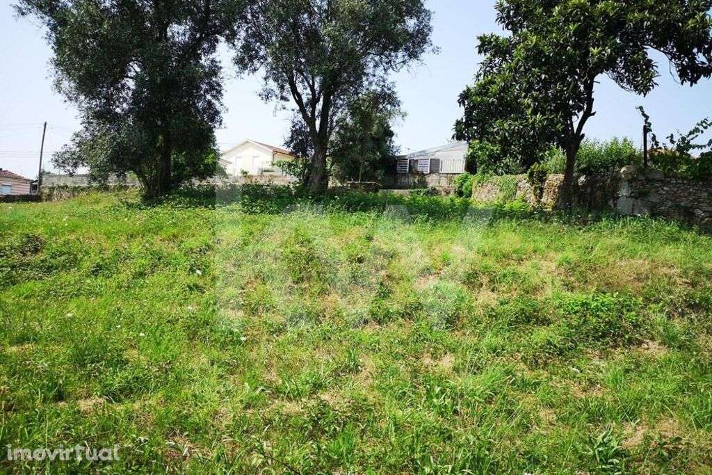 EXCELENTE LOTE DE TERRENO PARA CONSTRUÇÃO DE MORADIA   -   SANDIM   - - Grande imagem: 3/4