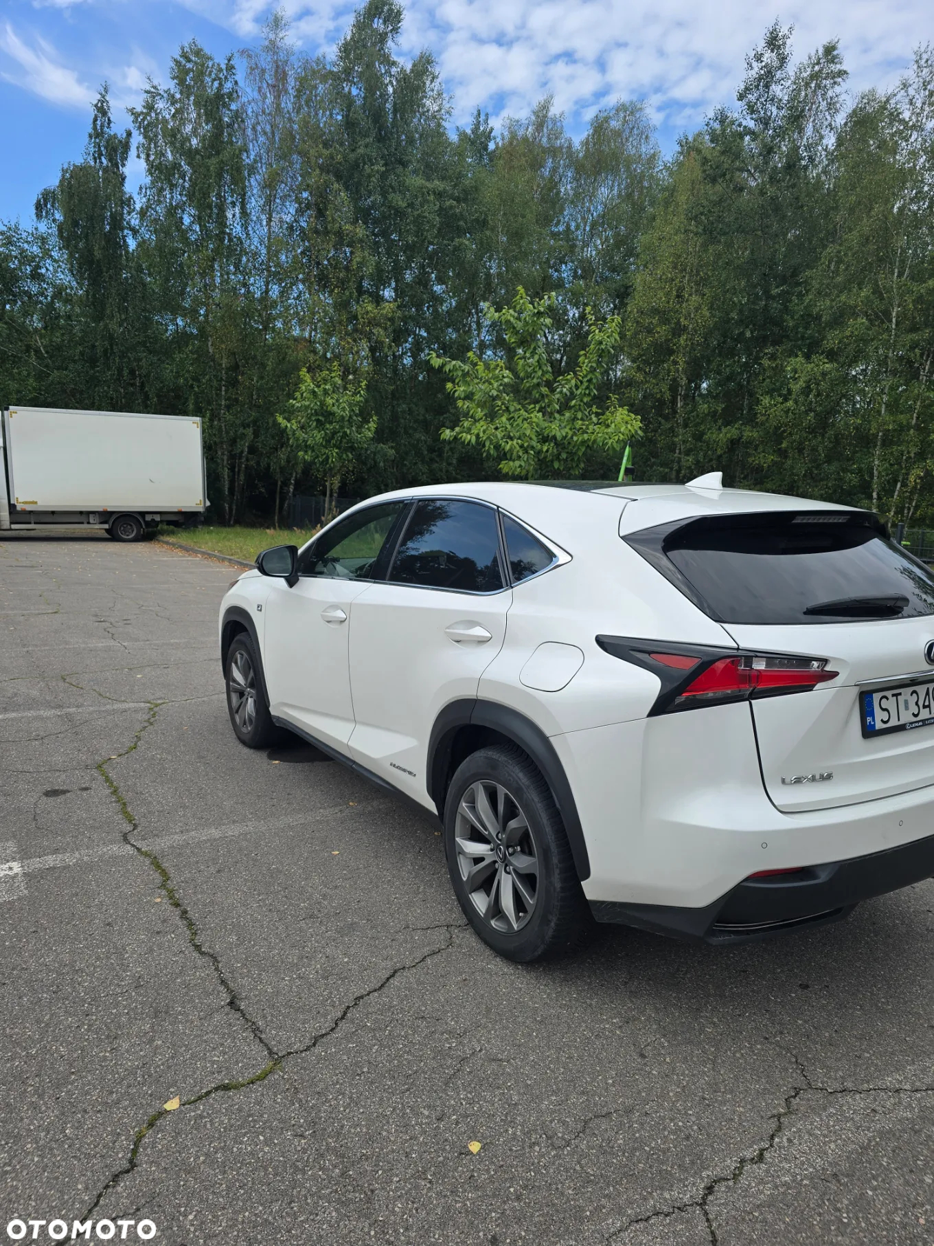 Lexus NX 300h F Sport Edition AWD - 8