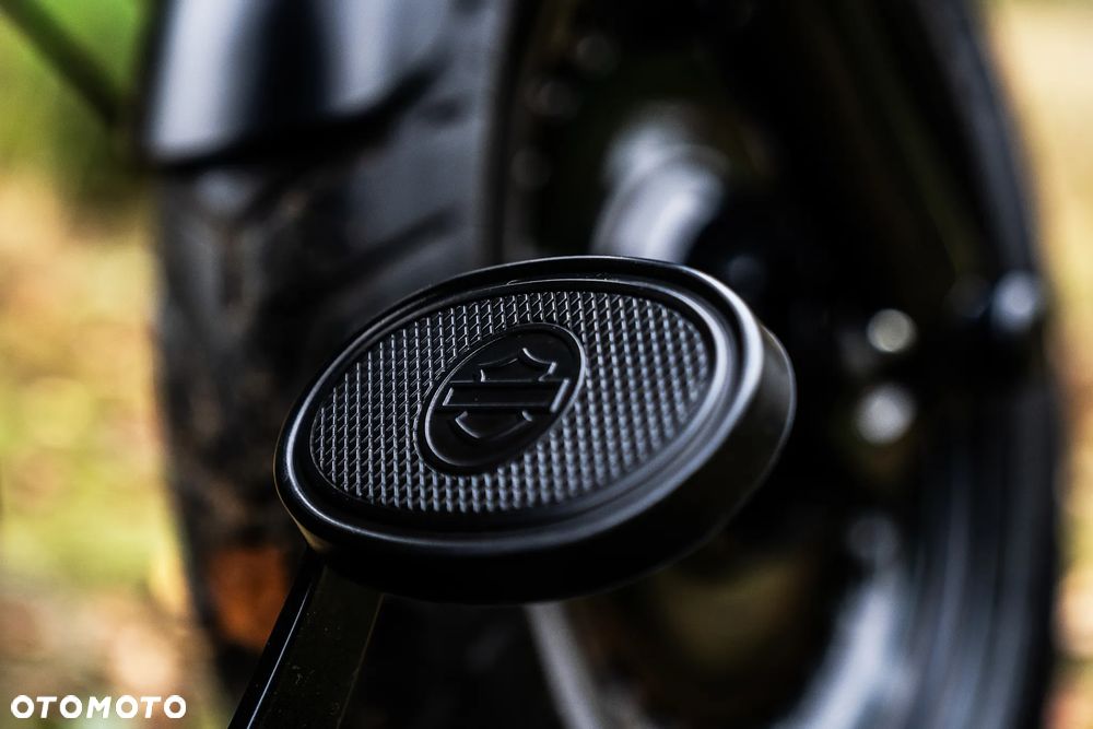 Harley-Davidson Softail Custom - 12