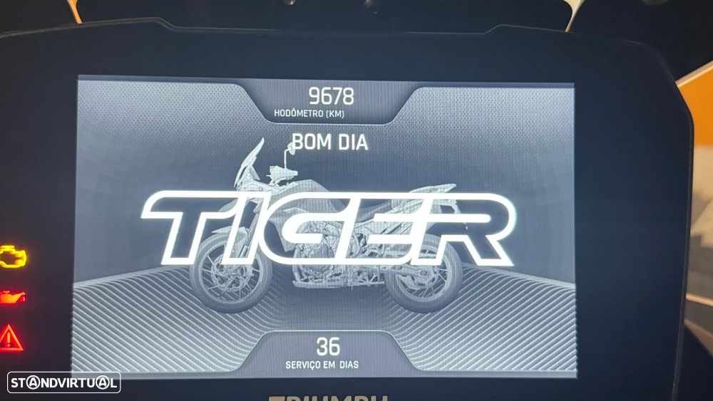 Triumph Tiger GT PRO - 13