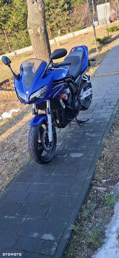 Yamaha FZ6 - 3