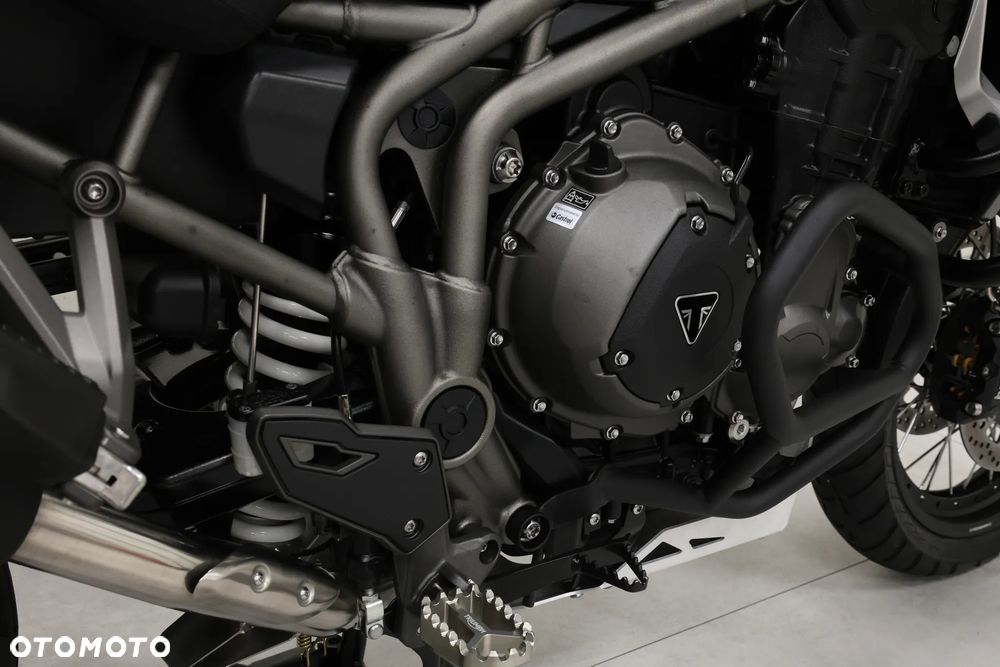 Triumph Tiger - 22