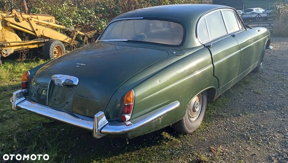 Jaguar Inny - 6