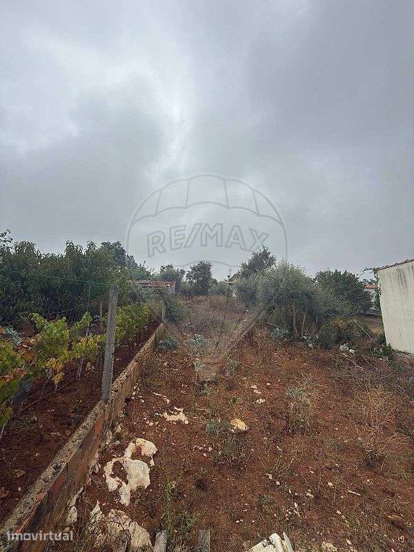 Terreno  para venda - Grande imagem: 4/11