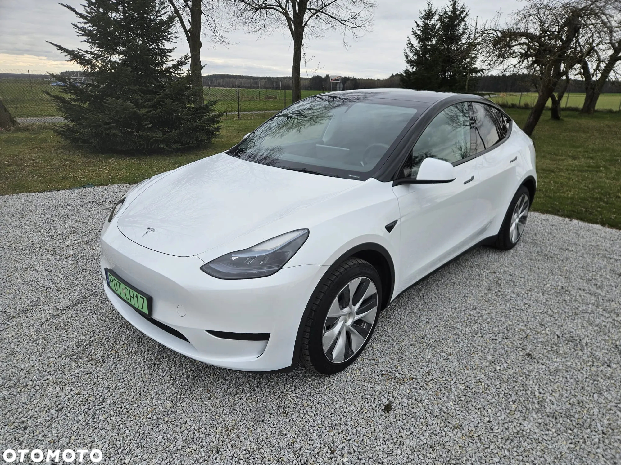 Tesla Y Model RWD - 24