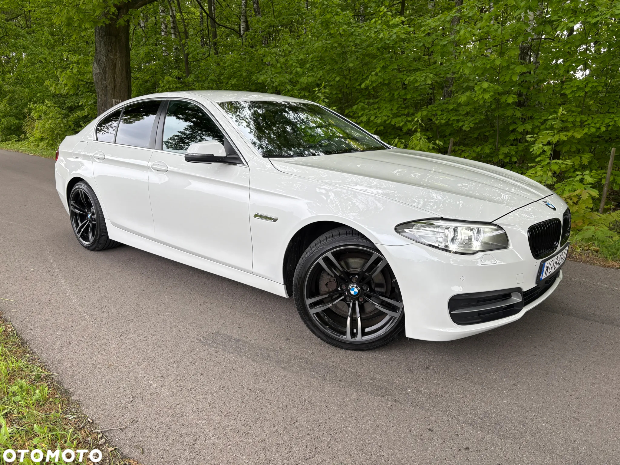 BMW Seria 5 520d - 39