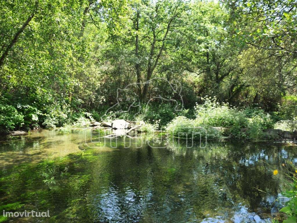 Terreno em Anais - Grande imagem: 5/8