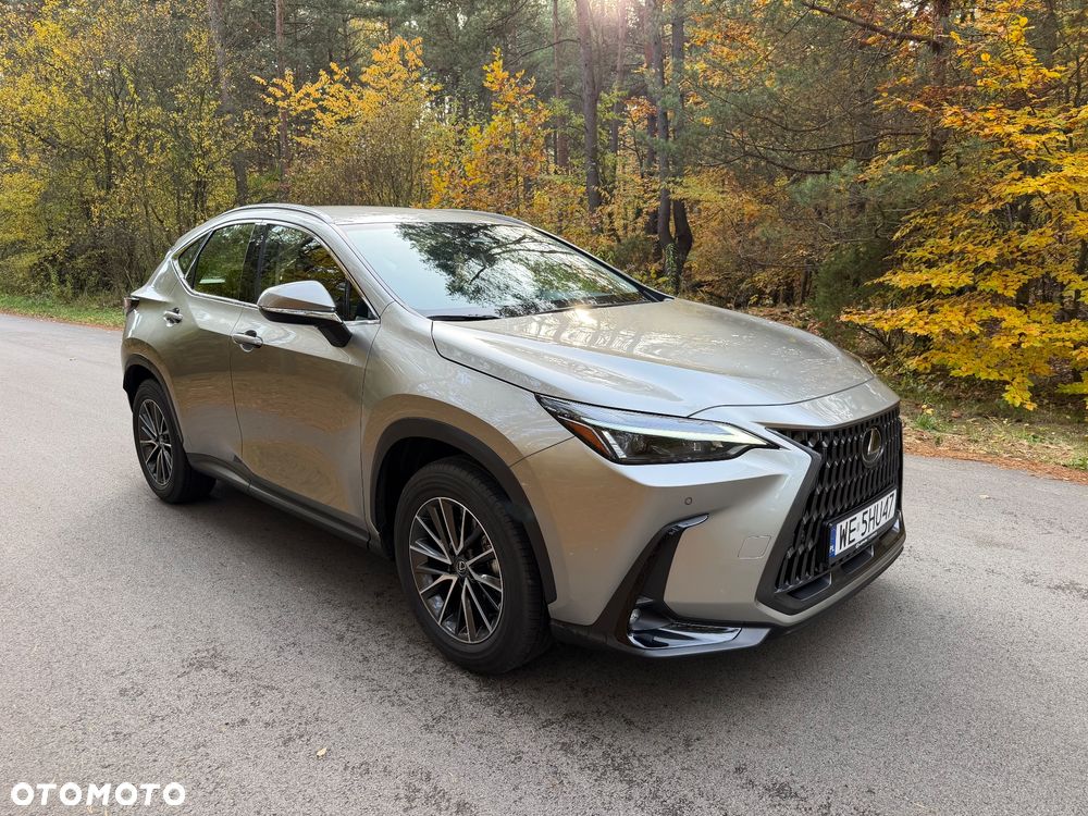 Lexus Nx 2025 photo 2