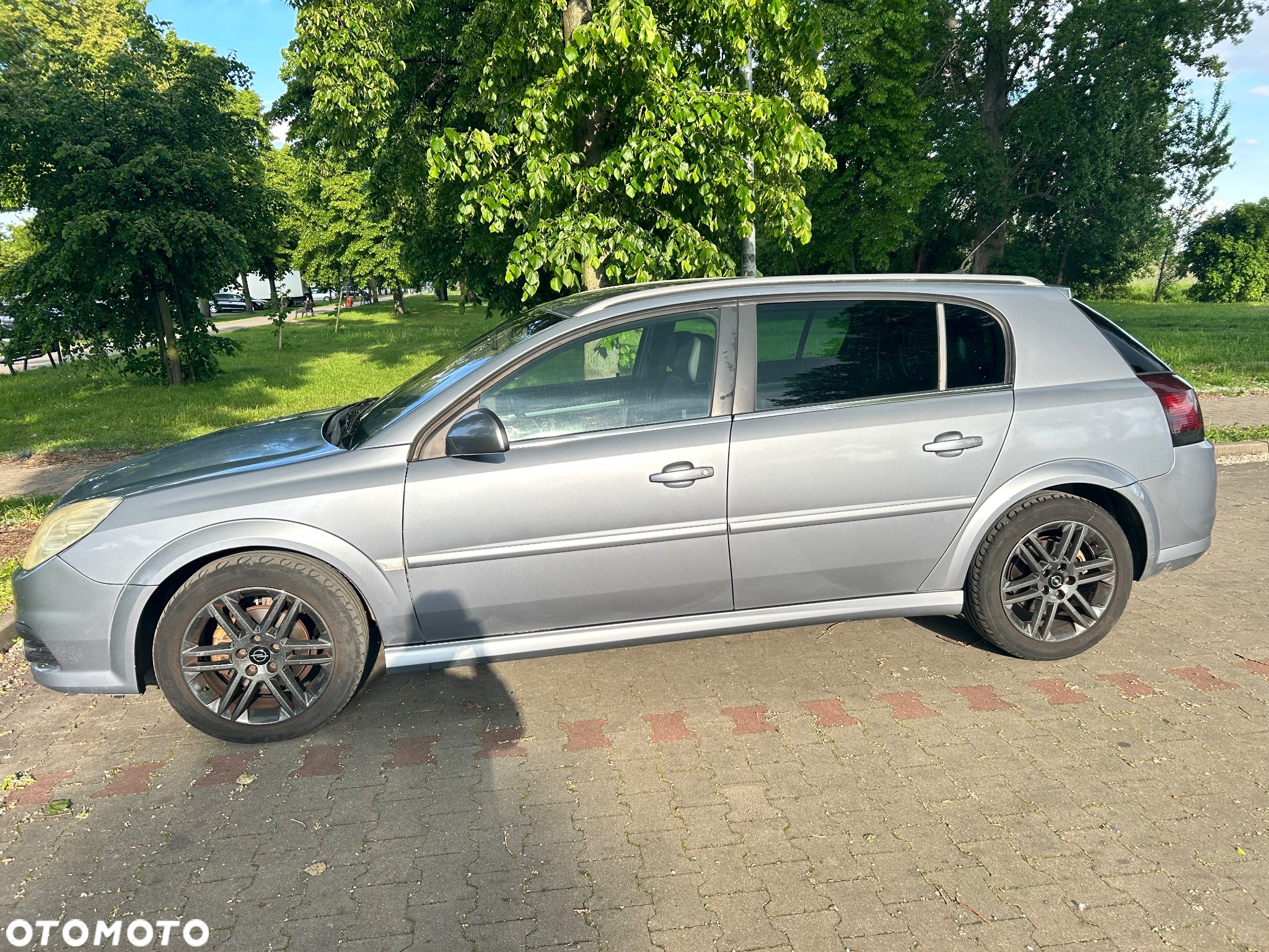 Opel Signum - 3