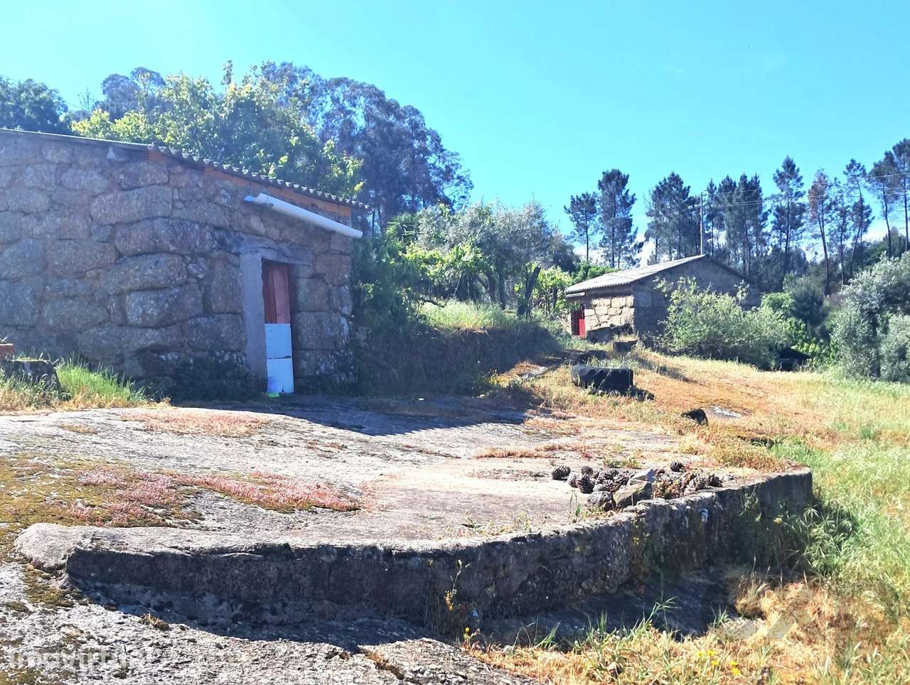 Vistas para o Mondego | 1 Hectare | Ruína em Granito | Um Refúgio de V - Grande imagem: 4/43