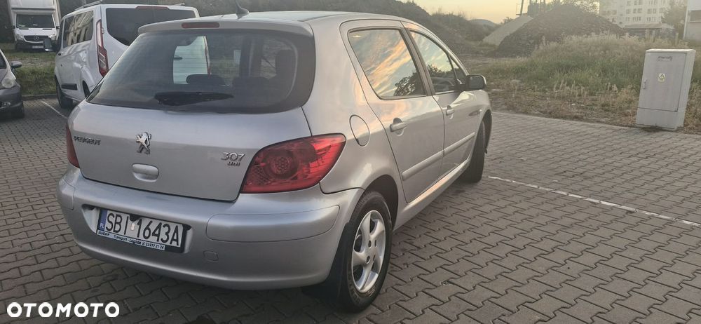 Peugeot 307 - 5