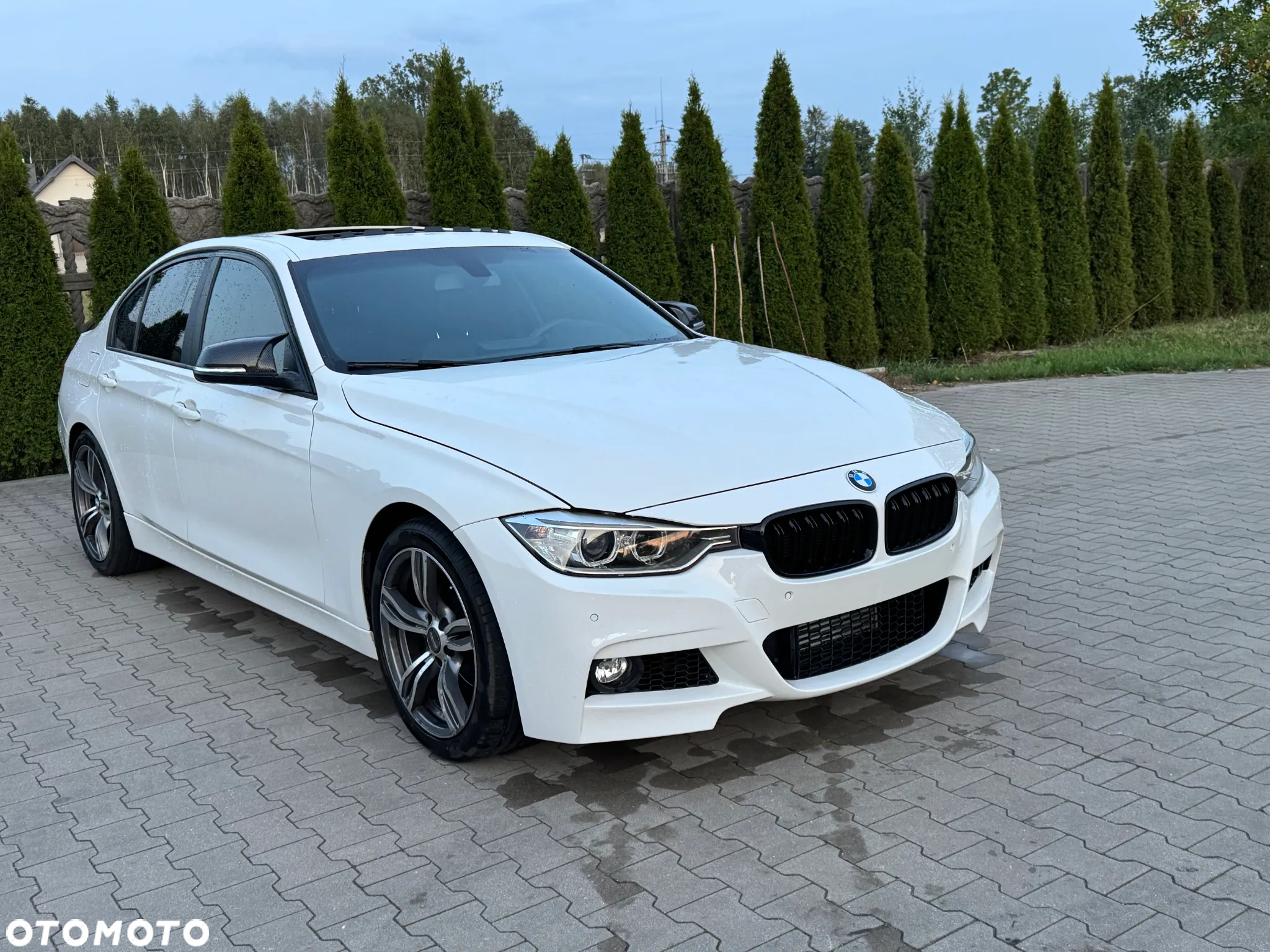 BMW Seria 3 320i Sport Line - 7