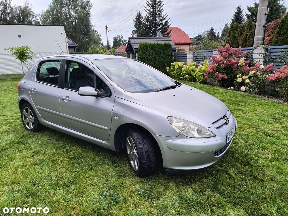 Peugeot 307 1.6 Premium Class - 2