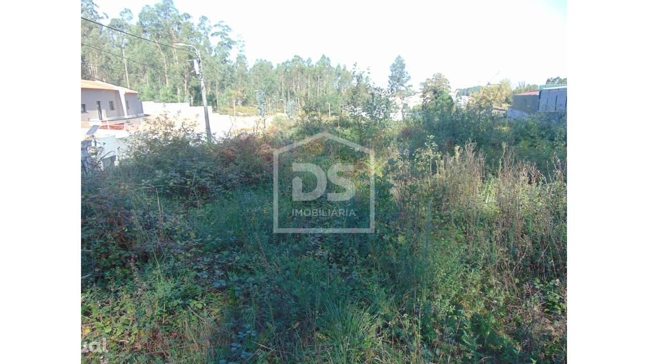 Terreno  Venda em Argoncilhe,Santa Maria da Feira - Grande imagem: 3/19