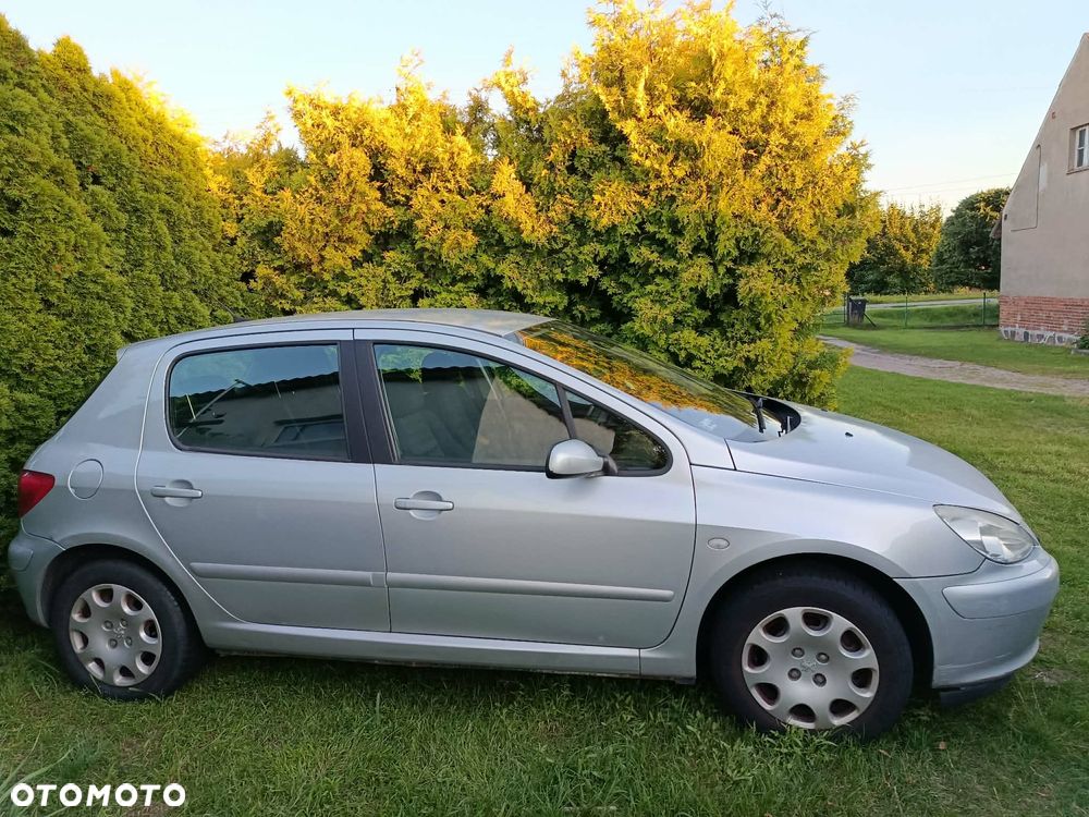 Peugeot 307 1.6 HDi - 10