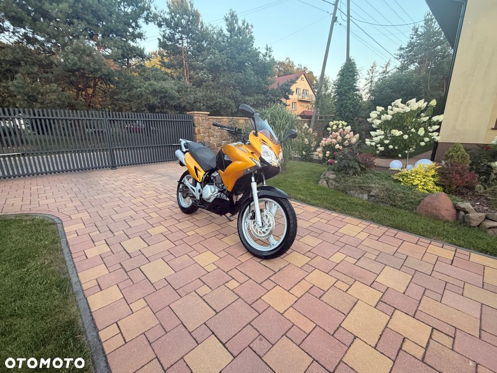 Honda Varadero - 10
