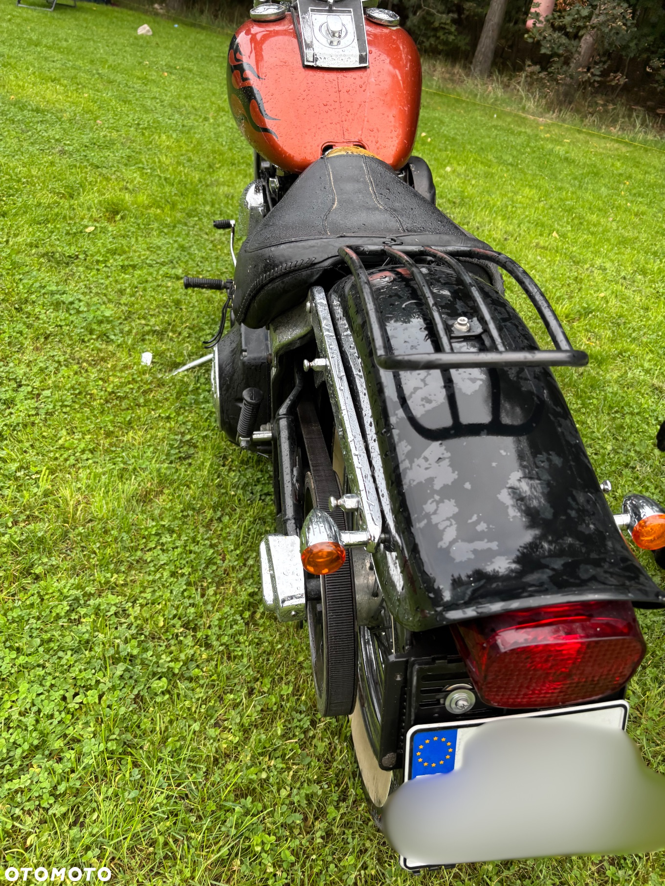 Harley-Davidson Softail Standard - 7