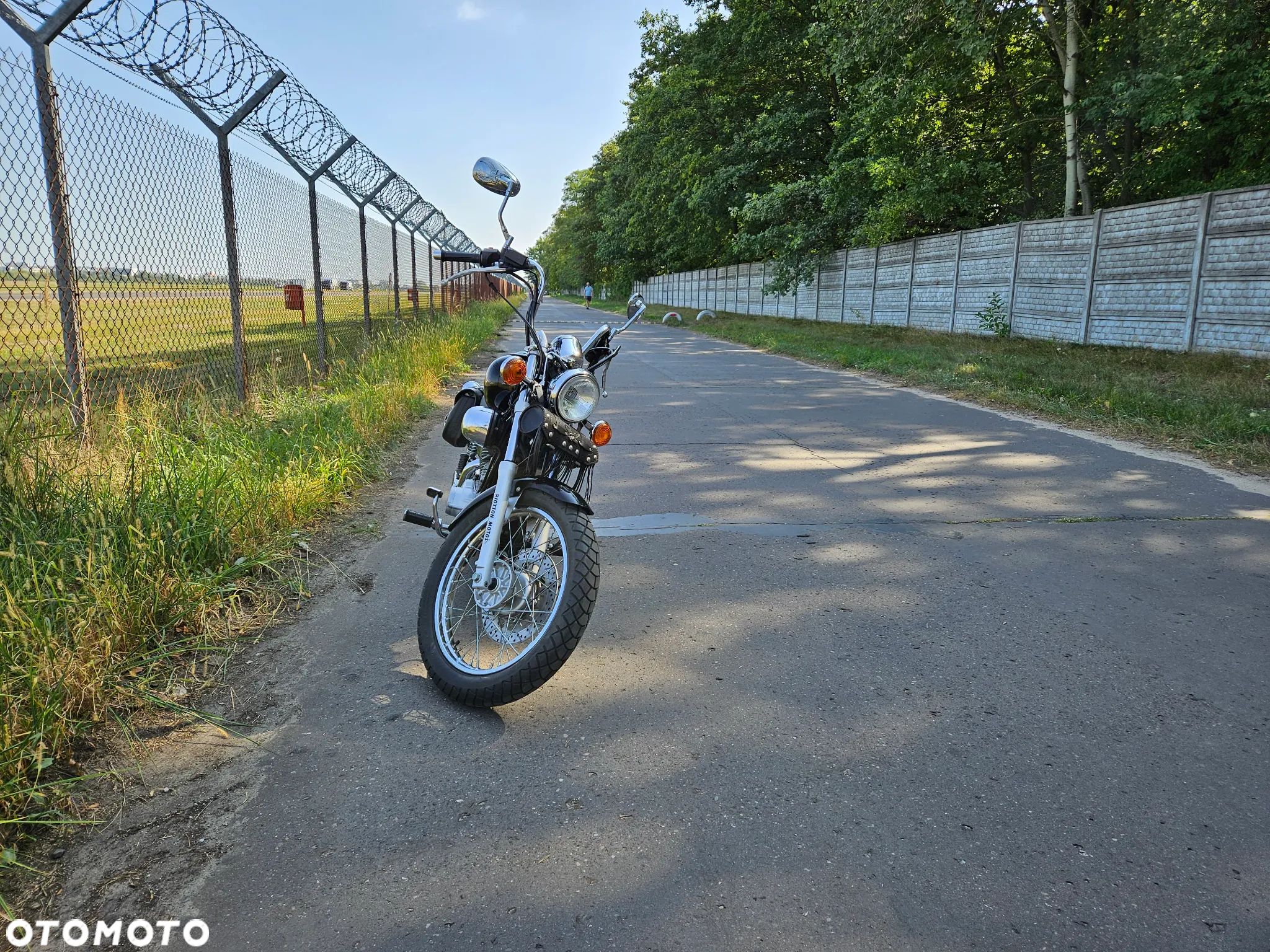 Yamaha Virago - 3