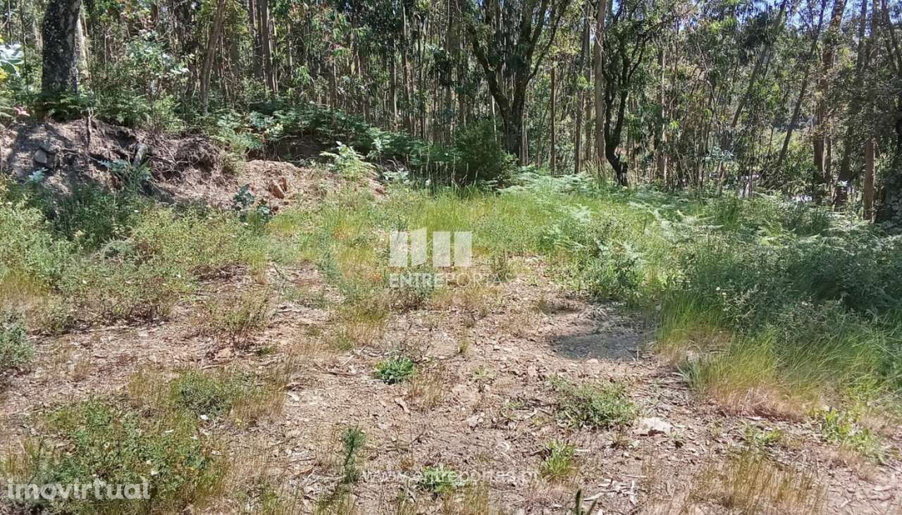 Terreno para venda, Gandra, Valença - Grande imagem: 5/5