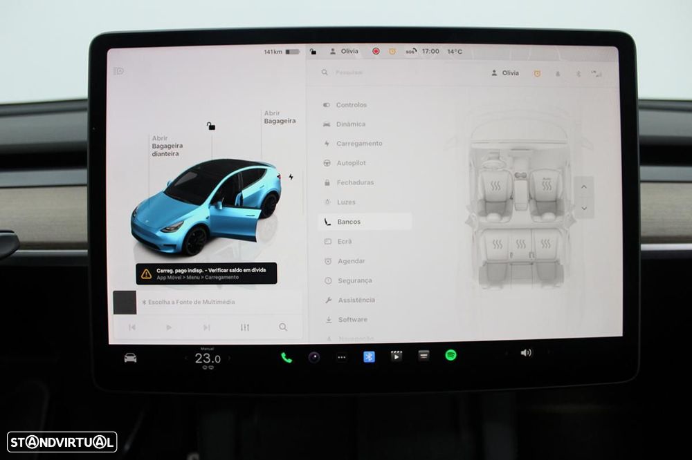 Tesla Model Y Performance AWD - 21