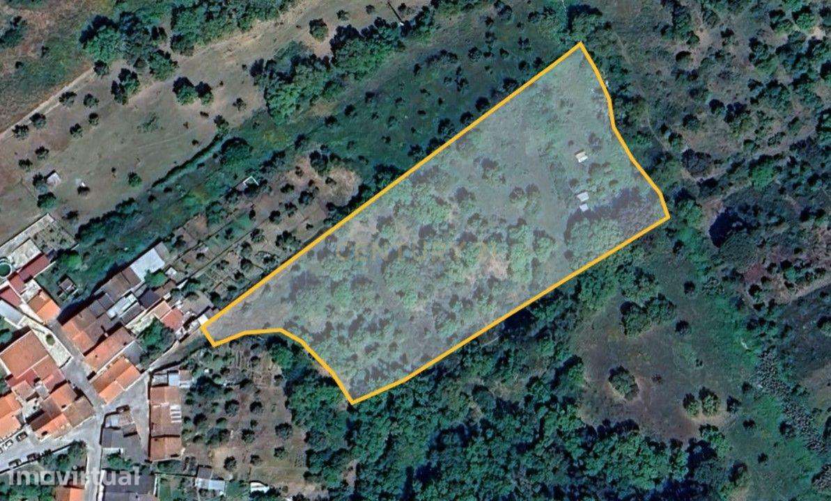 Terreno de 8280m² com cultura Arvense variada em Abrantes - Grande imagem: 2/11